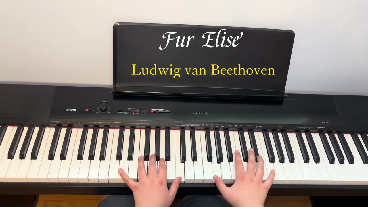  “Für Elise” | Ludwig Van Beethoven by Petr Plays Piano 