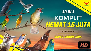 INI BEDA‼️ SEMUA Ada DISINI❗️HEMAT 15 JUTA (Kompilasi Masteran)