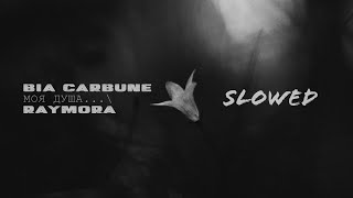 #bia #raymora #slowed #reverb                         Bia Carbune feat. Raymora - Моя душа (slowed)