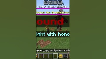 valad the blademaster vs mutant wither skeleton #minecraft #gaming #games