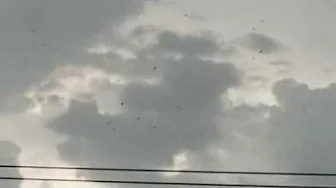 Birds Riding a 100mph outflow boundary!