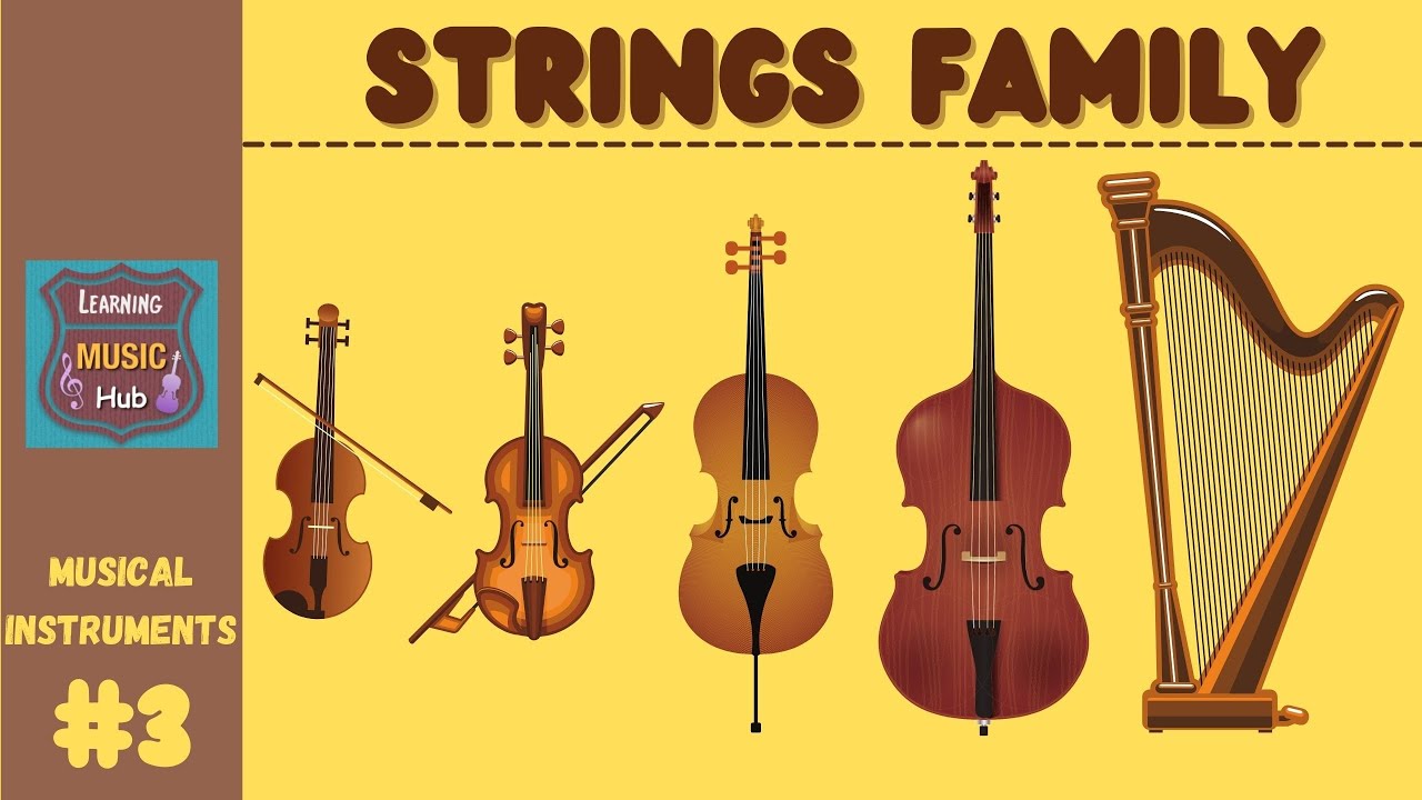 STRINGS FAMILY, INSTRUMENTS OF THE ORCHESTRA, LESSON #3, LEARNING MUSIC  HUB