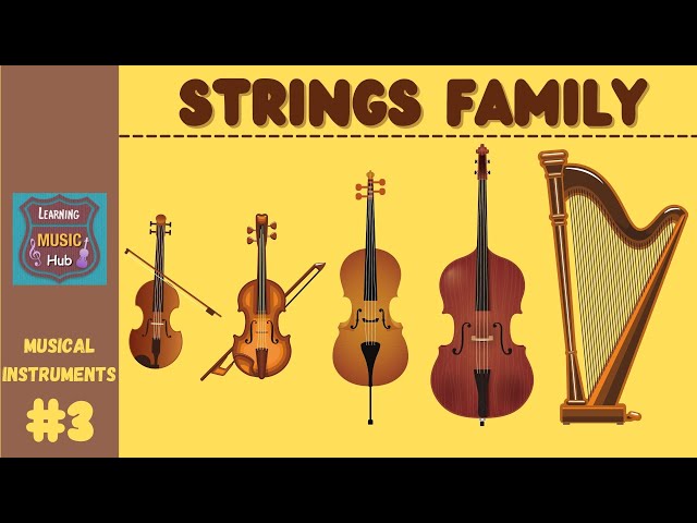 STRINGS FAMILY | INSTRUMENTS OF THE ORCHESTRA | LESSON #3 | LEARNING MUSIC HUB | ORCHESTRA class=