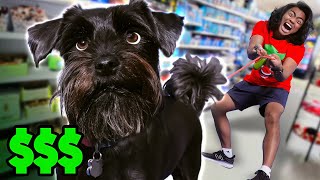 Buying My DOGS EVERYTHING They TOUCH!