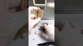 Куриные лапки без костей #здоровье #биохакинг #оздоровление #полезнаяеда