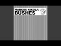 Bushes Derrick Carter Mo Bushes Remix 