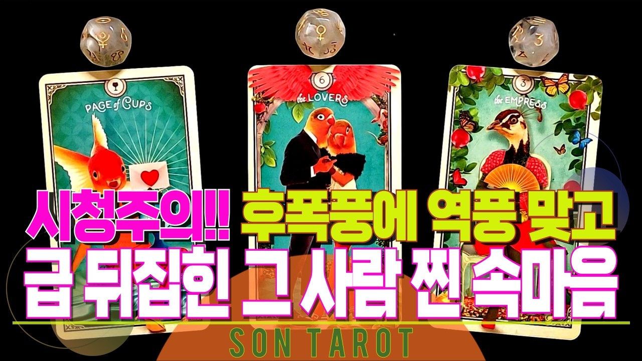 타로=손타로=💥소름돋는 관계흐름💥 그 사람 나에게 움직일까? 곧 보여줄 행동은? 🌙 재회 | 연애 | 후폭풍 | 연락 | 썸 | 상대방 속마음 🌙