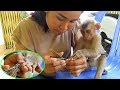 Baby Monkey | Lovely Mom Cutting Nails For Monkey Kako Routine | Cutting Nails For Baby Monkey