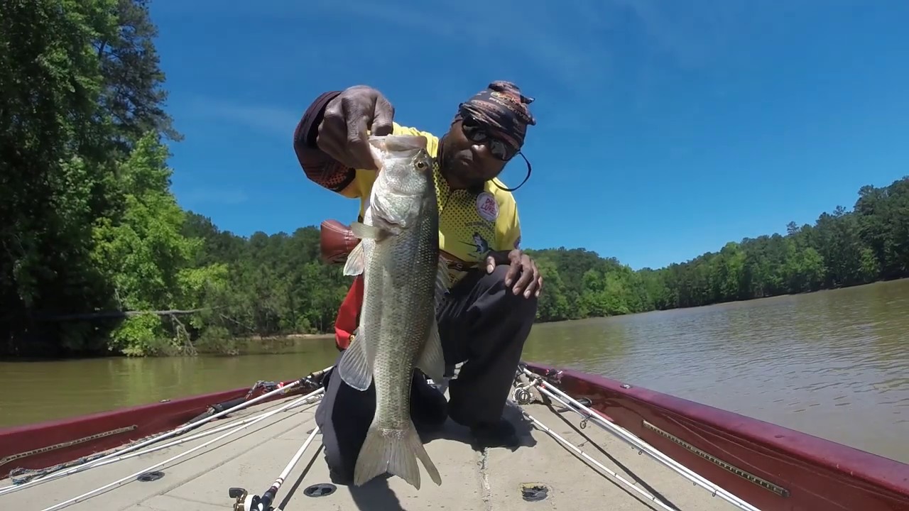 Lake West Point Bass Tournament LOTS of catches! - YouTube