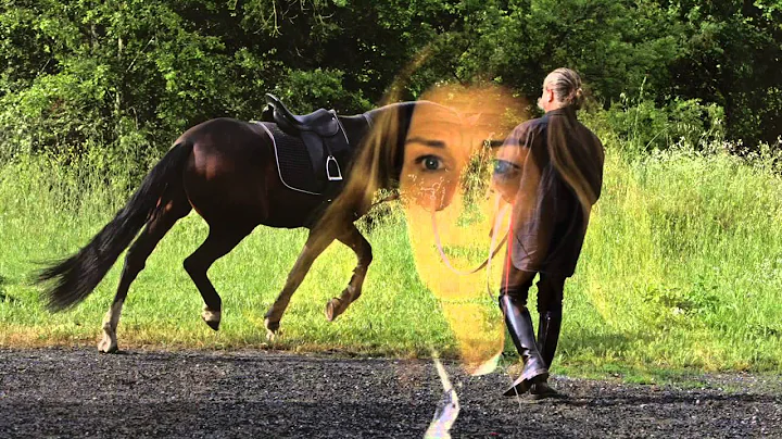 Debra on Longeing