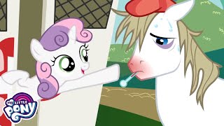 Download Lagu Songs | The Perfect Stallion Music Video | MLP: FiM | MLP Songs MP3