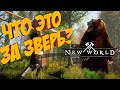 NEW WORLD | НОВЫЙ ШЕДЕВР КЛАССИЧЕСКИХ ММО!? | ДАВАЙТЕ ПОСМОТРИМ!