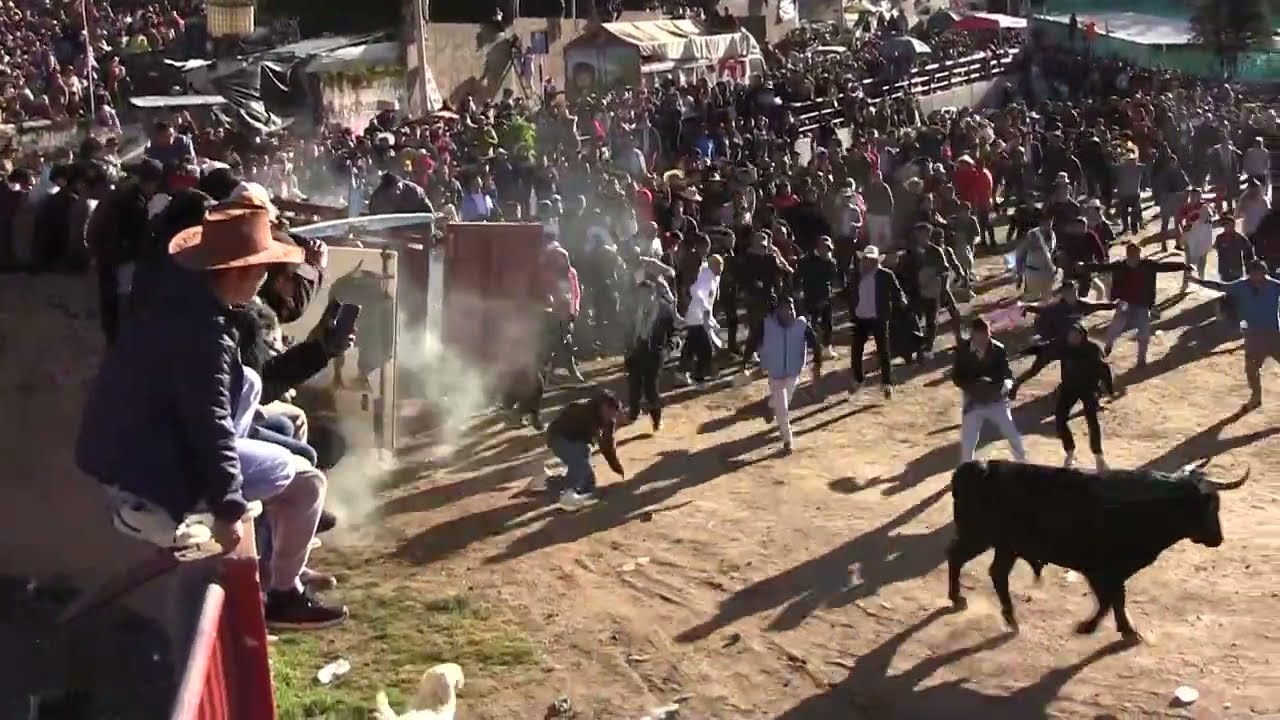 TORO CHUTAY HUANCAVELICA