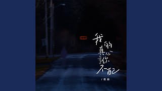 我的真心你不配 (Dj豪大大版)