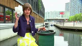 Seabin - collecting plastic rubbish - protecting wildlife (UK) - ITV News - 15th August 2018