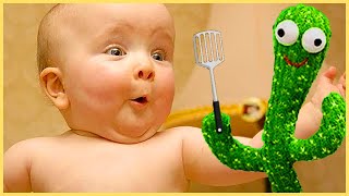 Download Lagu When Babies Experience Life's: Cutest SURPRISED BABY Ever! MP3 Download Lagu When Babies Experience Life's: Cutest SURPRISED BABY Ever! MP3