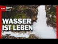 Wasser ist Leben