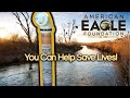 Help Save Bald Eagles-AEF And Conservation