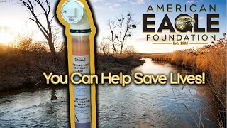 Help Save Bald Eagles-AEF And Conservation