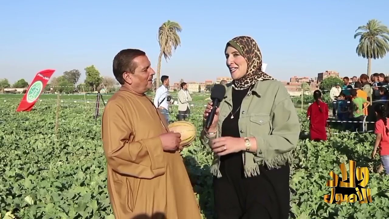 شماااااام السلطاااان هيجيب 50طن للفدان؟!!!