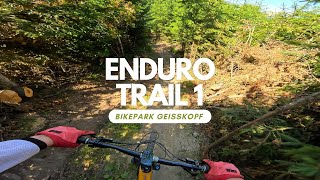 Enduro Trail 1 Rot Bikepark Geißkopf ganze Strecke POV RAW