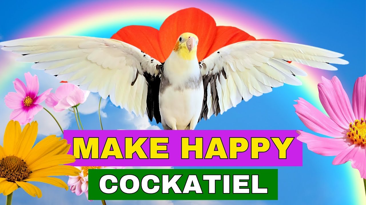 2 Hours of Happy Cockatiel Singing with a colorful background and bright blue sky! 🐦🌞