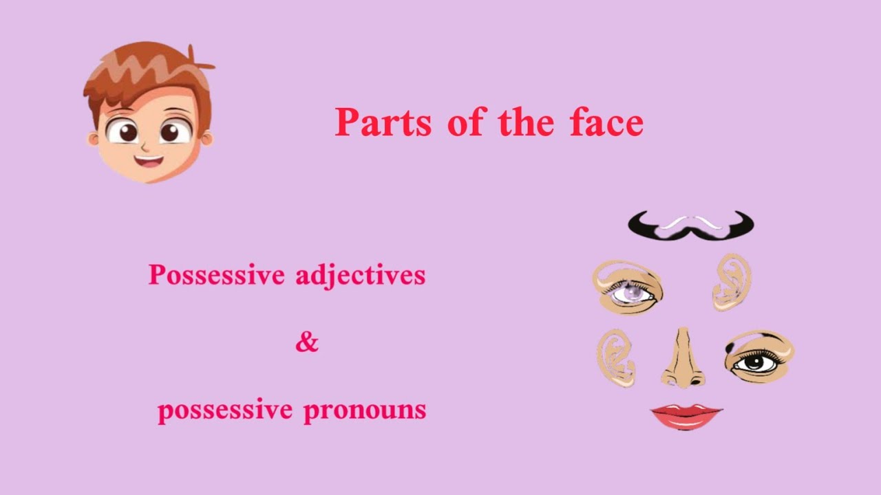 Exercices about the first sequence  تمارين عن المقطع الاول للسنة الثانية متوسط