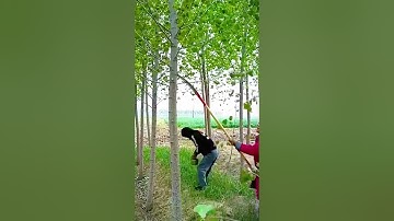 cool tool for cutting plant branches #shorts