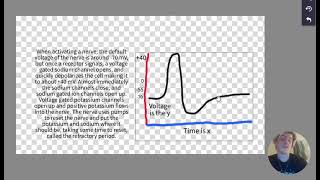 The Brain Explained Pt 2. (AP Bio or AP Psych)