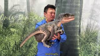 How We Make Hand Puppets Inside The Dino Workshop