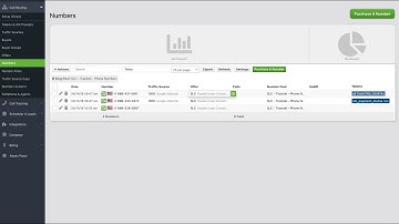 TD V2 JavaScript Dynamic Number Insertion