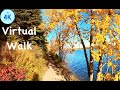 VIRTUAL HIKE - Beautiful Nature Walk - FALL Colours - 4K