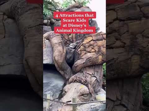 Video: Topp 10 sevärdheter i Disney World's Animal Kingdom
