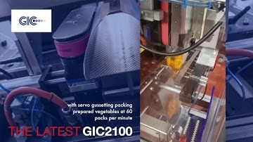 GIC 2100 Vertical Form Fill & Seal Machine