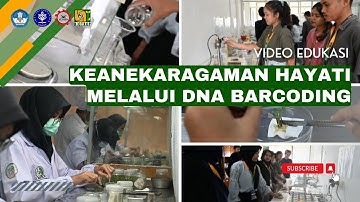Video Edukasi: Keanekaragaman Hayati Melalui DNA Barcoding