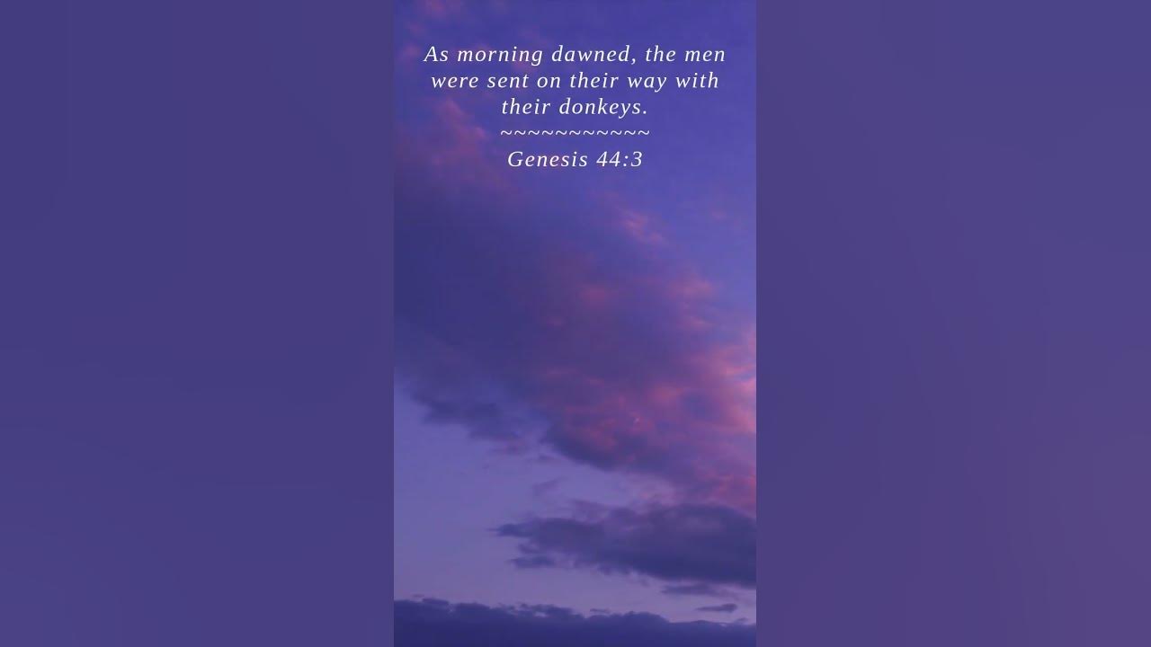 bible-genesis-44-3-as-morning-dawned-the-men-were-youtube