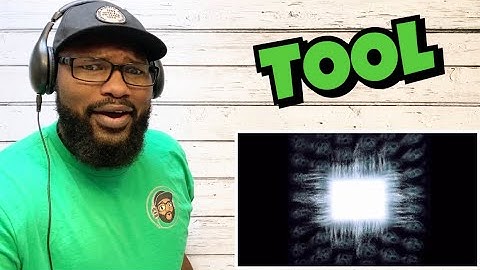 TOOL - Hooker With A Penis | REACTION