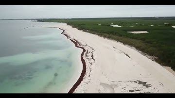 Oceanus International / Kanai Beaches Project
