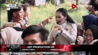 KAWIN KYAI | VOC.SUSY ARZETTY | VIRA MUSICA | LIVE DS.CIPAAT - BONGAS 17 MEI 2021