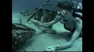 Woman Scuba Diver And Grouper 1980