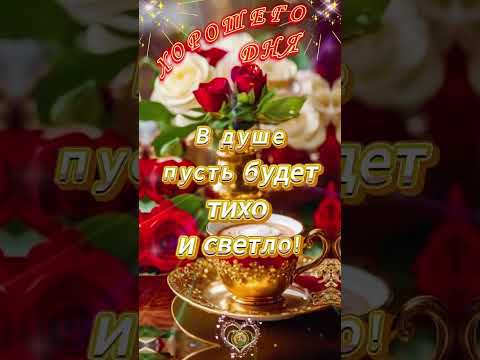 🌺 С Добрым Утром,! ☕🌞 С Новым Днём! ☕ Пусть день будет лёгким ☀️#лучшее #видео #открытка #доброеутро