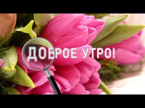 Доброго утра хорошего дня