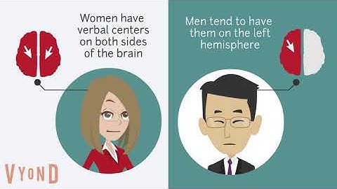 Male Brain vs Female Brain: What is the Big Difference?