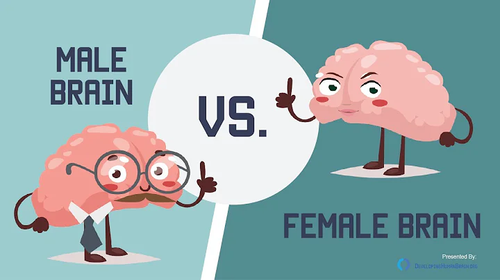 Male Brain vs Female Brain: What is the Big Difference? - DayDayNews