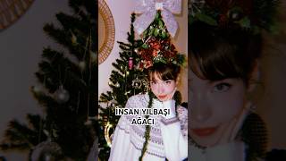 Yeni Ağaç Alcak Param Yoktu Ben De Saçımı Süsledim Şfet