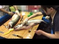 村上の鮭工房サーモンハウス　塩引き鮭メーキング動画