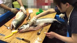 村上の鮭工房サーモンハウス　塩引き鮭メーキング動画