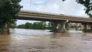 Schuylkill River from West Conshohocken side after tropical storm on August 4th