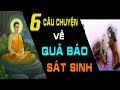 Mãng Xà Báo Oán | 6 Câu Chuyện  Về QUẢ BÁO SÁT SANH Không Chừa Một Ai