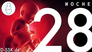 Kann ein Baby in der 28 SSW überleben?
